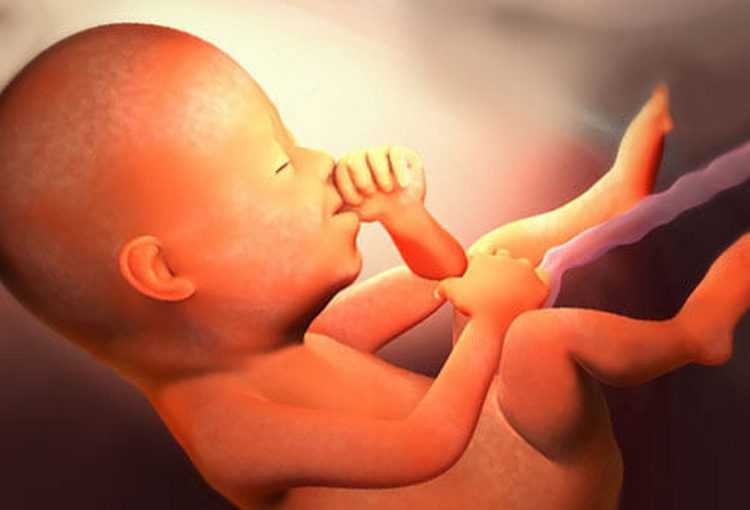 36 неделя беременности: признаки подготовки к родами, ощущения будущей мамы и развитие плода, выделения и боли, несколько полезных советов