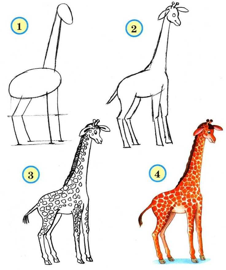 Как рисовать животных: полезные уроки рисования – от начальных до продвинутых