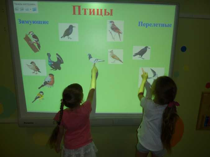 Конспект логоритмического занятия в старшей группе на тему «домашние птицы». воспитателям детских садов, школьным учителям и педагогам - маам.ру