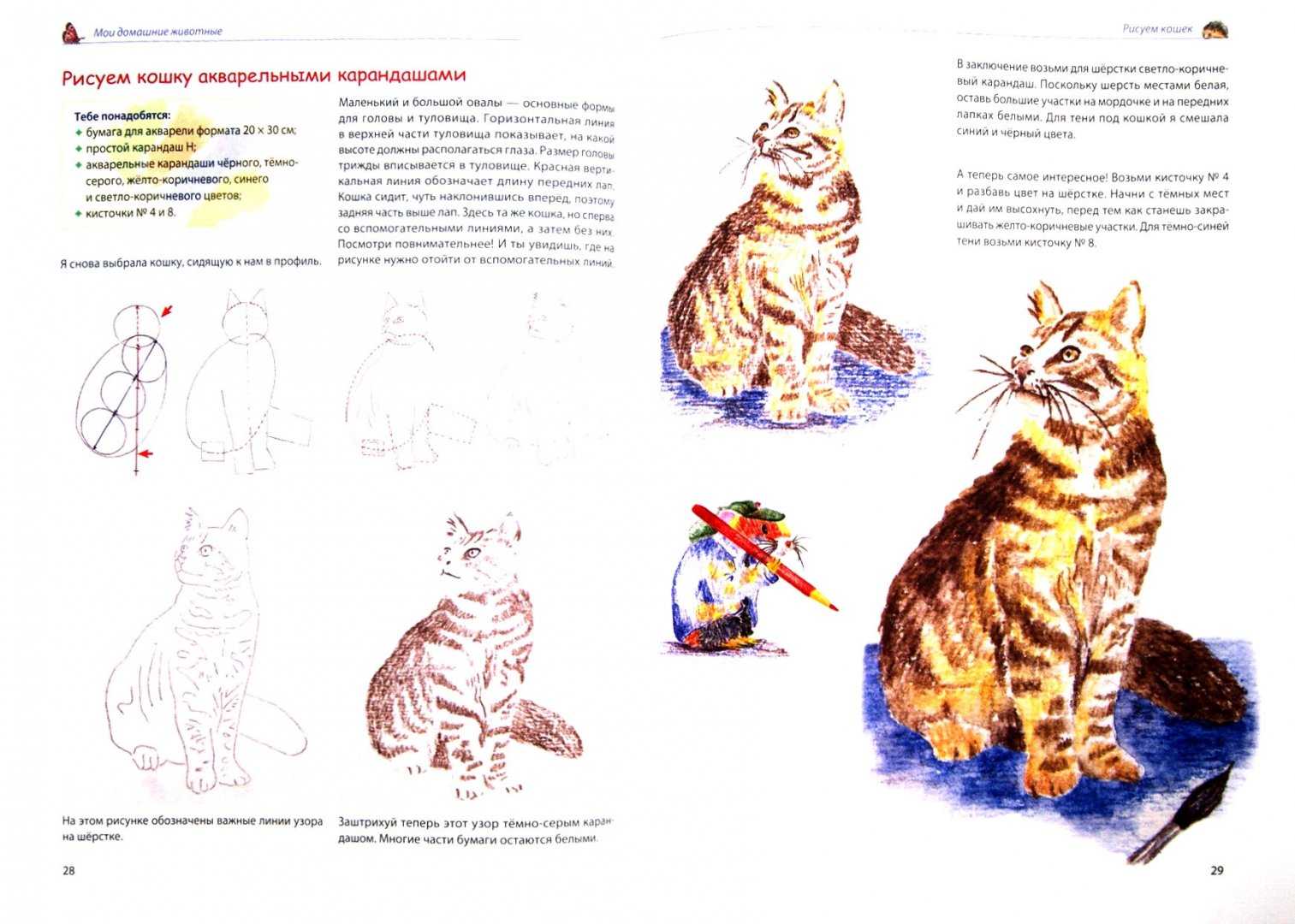Как нарисовать зоопарк: поэтапный рисунок животных простым карандашом для детей и не только