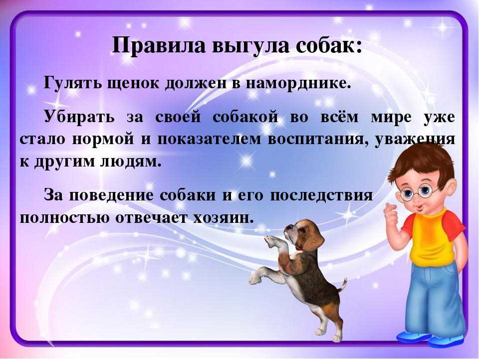 Как ухаживать за щенком – рекомендации заводчиков | dogkind.ru