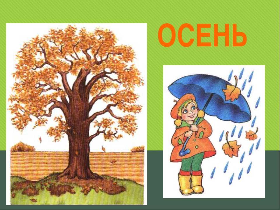 Конспект логопедического занятия в подготовительной группе по теме «осень. деревья осенью»