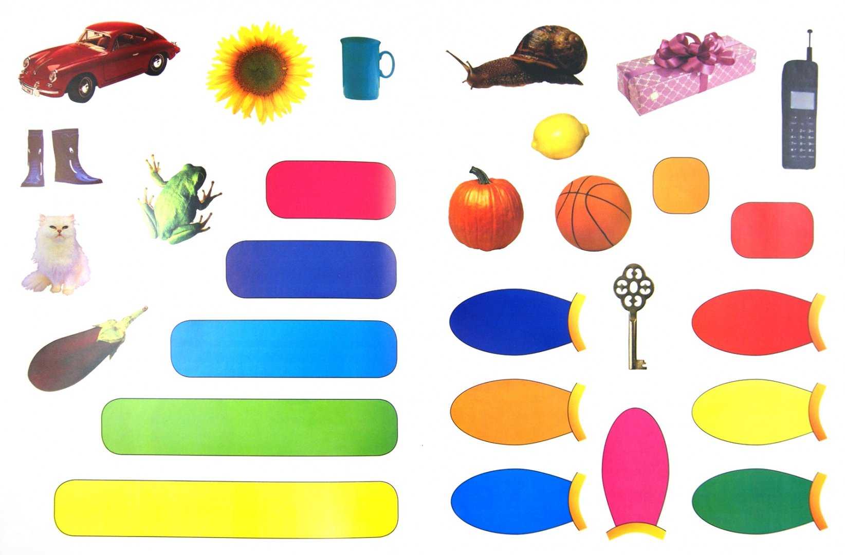 Этот дивный разноцветный мир: как научить ребенка цветам и в каком возрасте стоит начинать занятия?