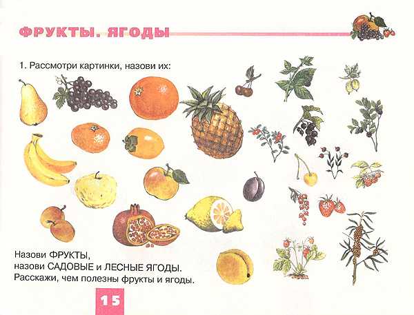 Дидактический материал по теме «фрукты» 5-7 лет - plandou.ru