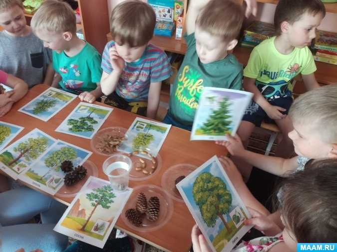 Разработка конспекта нод по экологии в средней группе «лес - наш дом» | дошкольное образование  | современный урок