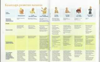 Развитие ребенка по месяцам до 1 года: таблица роста и веса, отличия в развитии мальчиков и девочек.