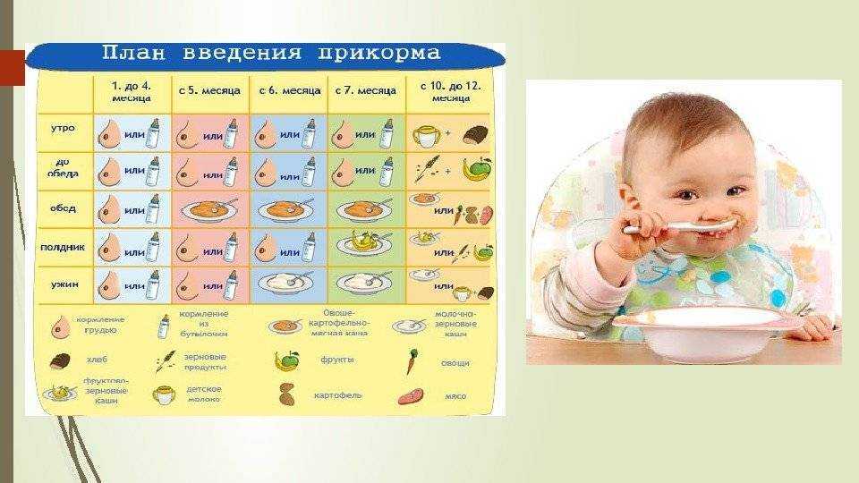 Рацион и меню питания ребенка в 9 месяцев