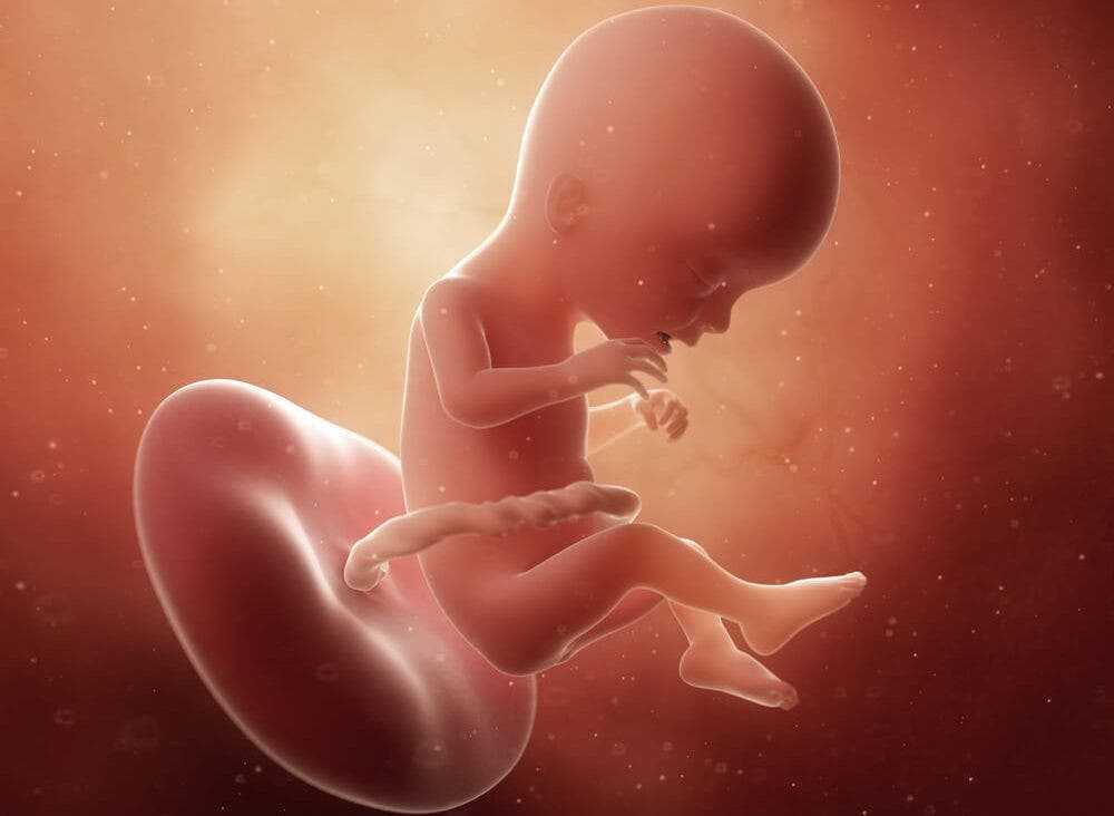 13 неделя беременности: что происходит с мамой и малышом, ощущения, обследования, советы врача | новости