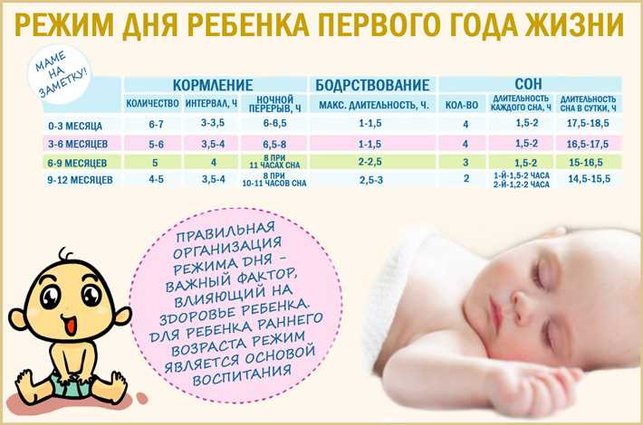 Сколько должен спать ребёнок в 2 месяца: стандарты режимов сна днём и ночью