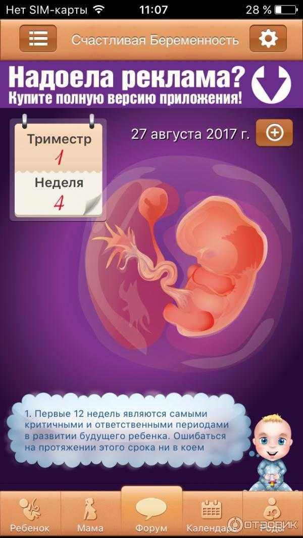 4 неделя беременности: развитие плода | pampers ru