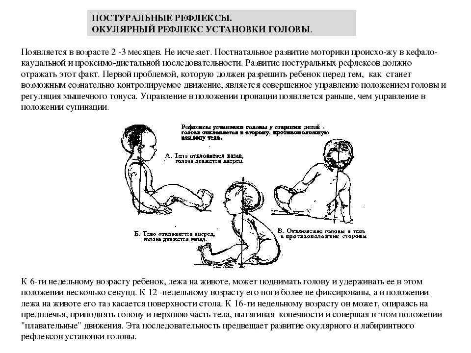 Рефлексы новорожденного: моро, реакции бабинского, бабкина, галанта, таблица по месяцам - мед-инфо