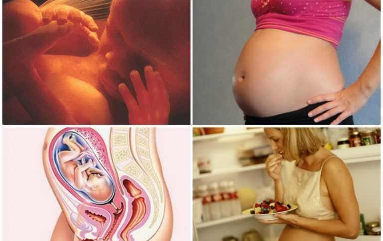22 неделя беременности фото плода и ощущения — евромедклиник24