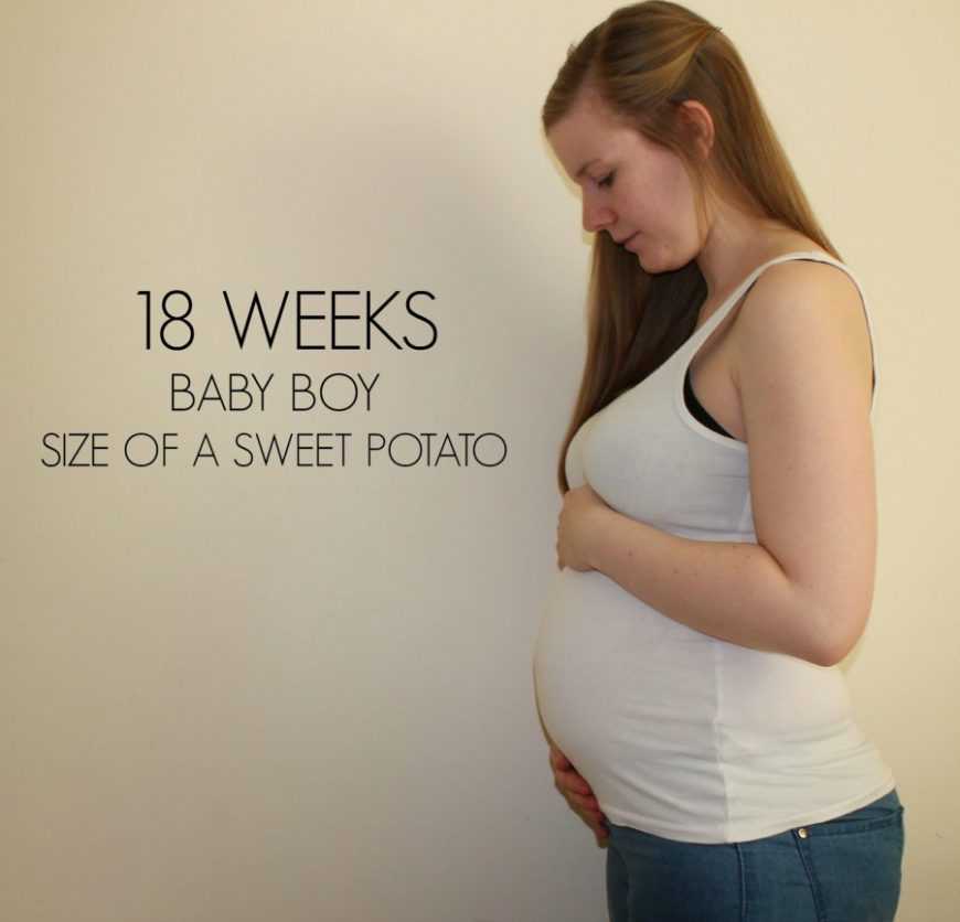 16 неделя беременности: ощущения, признаки, развитие плода