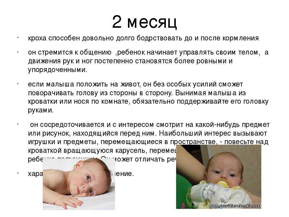 Во сколько дети начинают держать головку самостоятельно или когда новорожденный ребенок начинает держать голову лежа на животе и в вертикальном положении