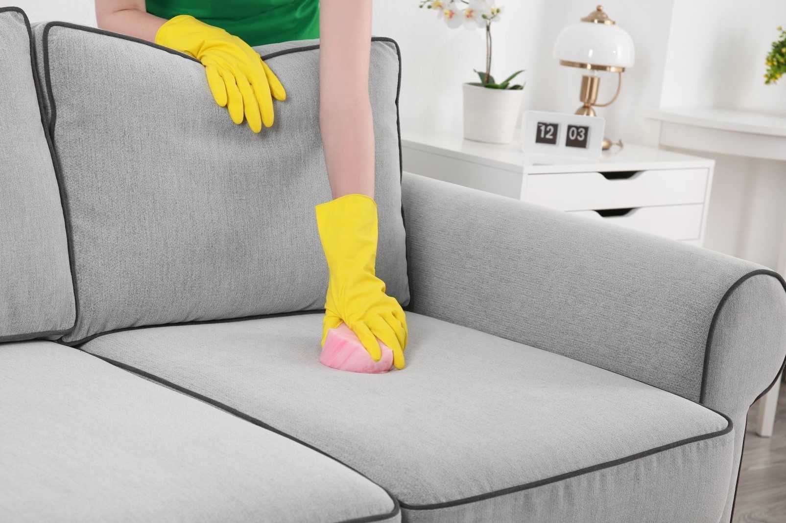 Топ 32 способа, как быстро удалить запах мочи с ковра в домашних условиях