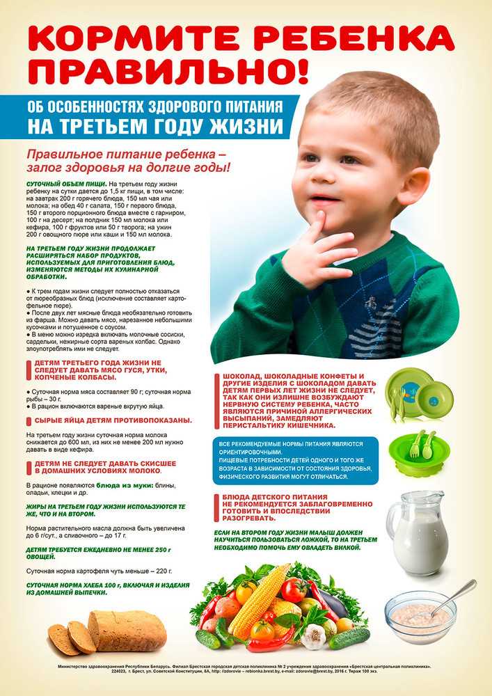 Меню ребенка в 1 год: основа рациона и принципы питания
