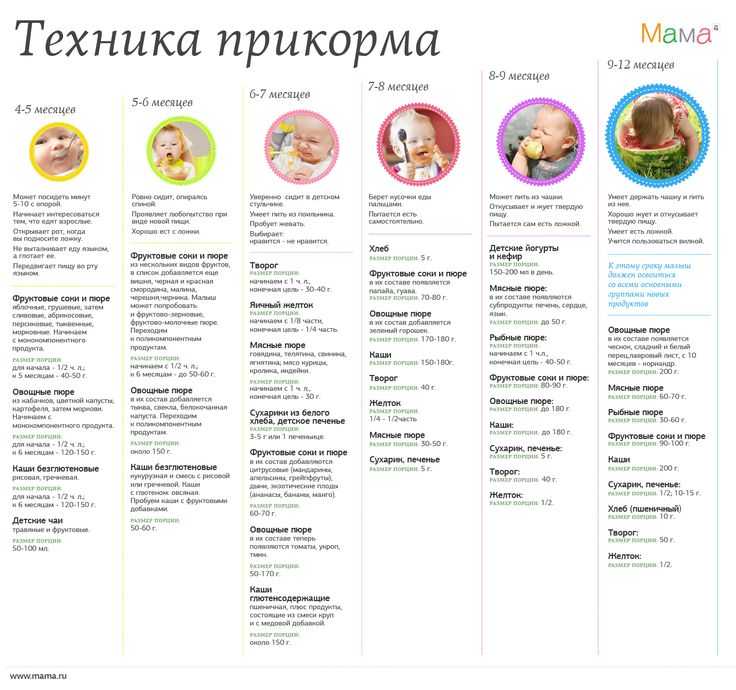 Питание ребенка до года: прикорм, меню и режим