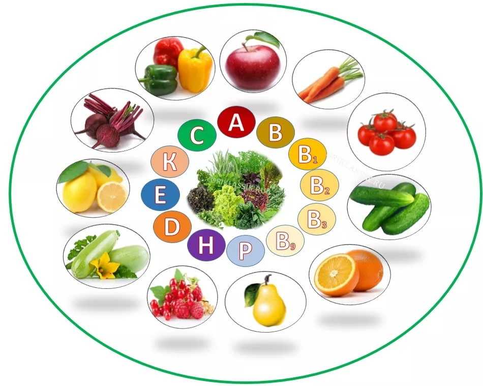Конспект оод на тему «овощи, ягоды и фрукты — витаминные продукты»