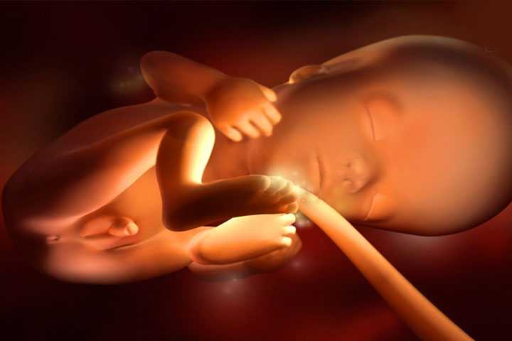 18 неделя беременности - ощущения и фото — евромедклиник24