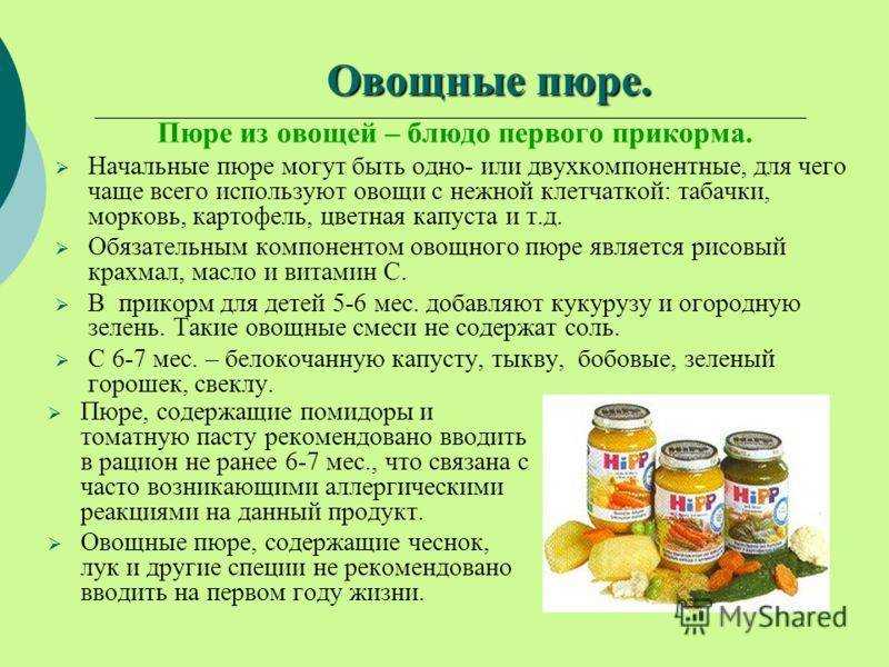 Как и когда вводить прикорм и все сделать правильно / советы педиатра – статья из рубрики "как накормить" на food.ru