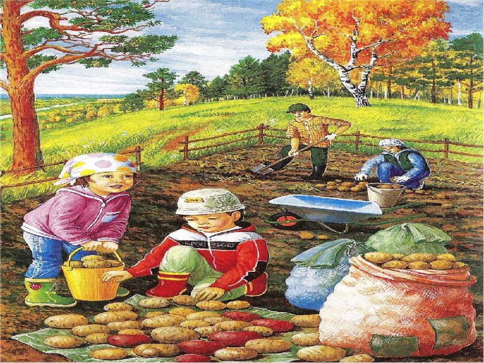 Конспект нод с детьми старшей группы «поможем осени собрать урожай»