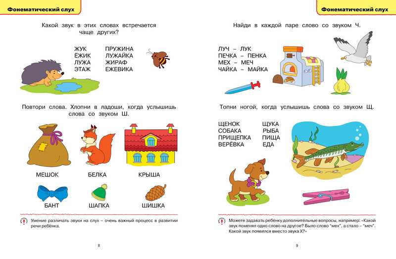 Логопедические занятия для детей 5-6 лет: упражнения для дома, игры, видео и стихи