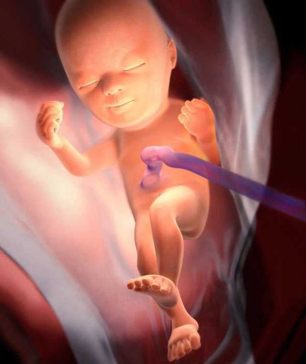 7 месяц беременности – что происходит, развитие плода и ощущения в животе на седьмом месяце беременности - agulife.ru