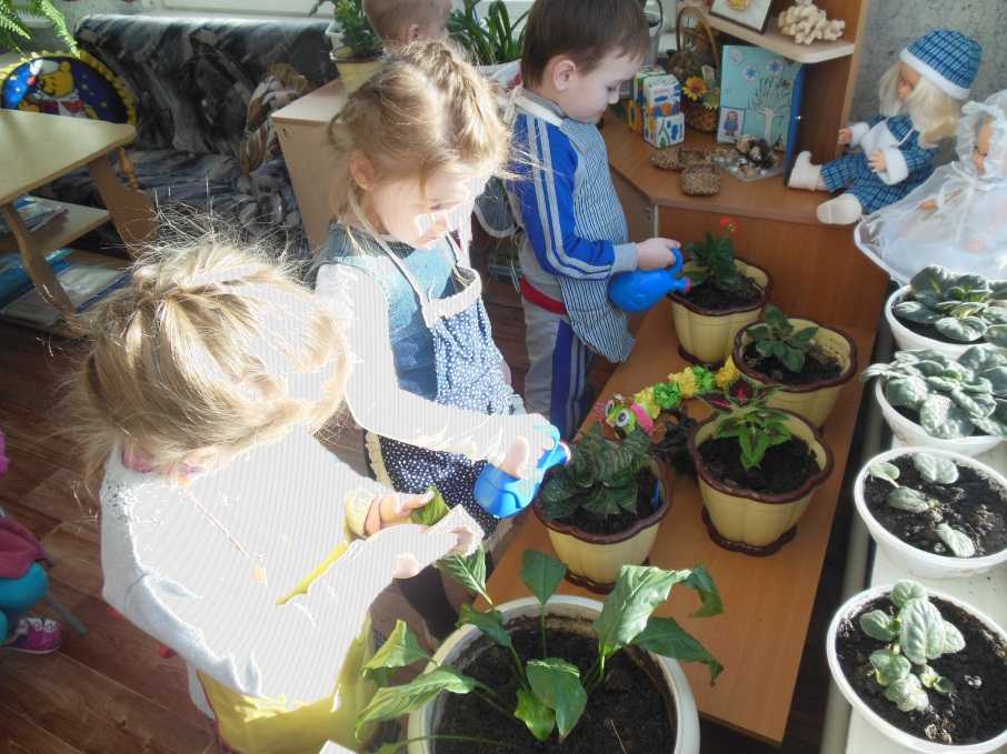 Экологический проект для средней группы детского сада «комнатные растения». воспитателям детских садов, школьным учителям и педагогам - маам.ру