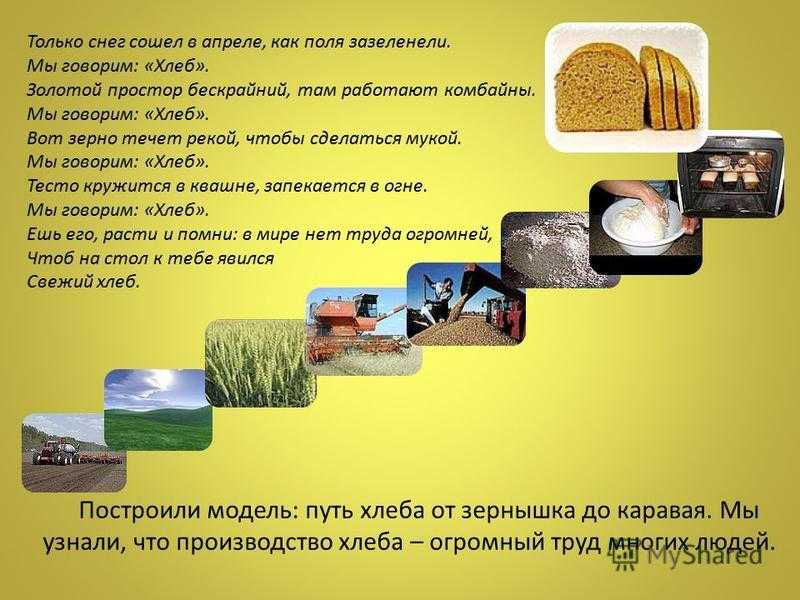 Из каких культур делают хлеб