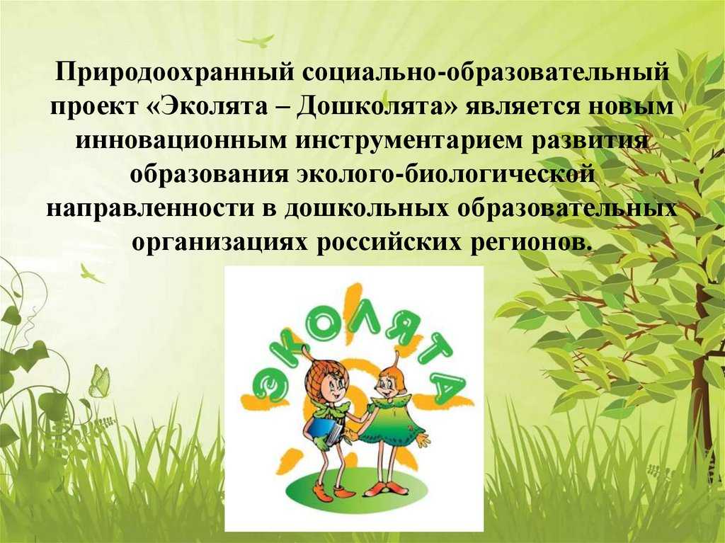 Статья «организация экологических выставок и акций в детском саду» из опыта работы