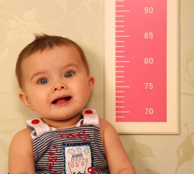 Малышу 1 год 2 месяца: что должен уметь карапуз в возрасте год и два месяца?