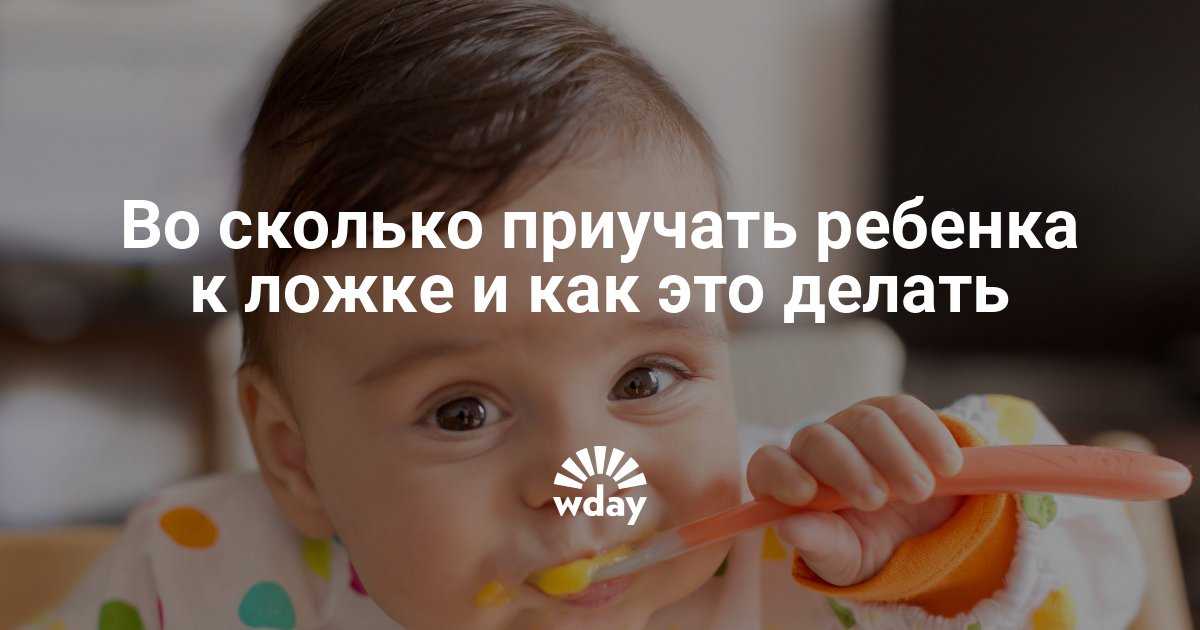 Как научить ребенка кушать ложкой без помощи взрослых: советы доктора комаровского