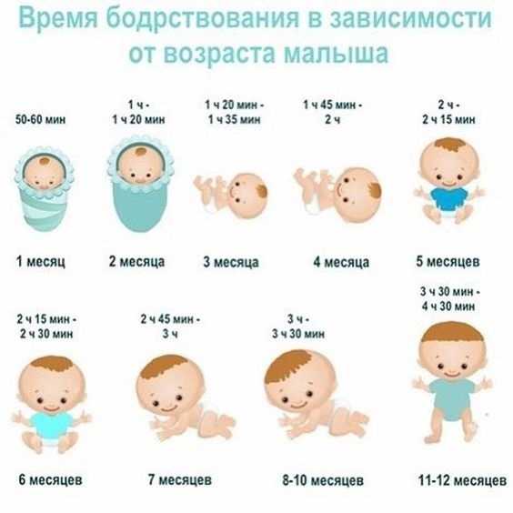 Продолжительность сна 11 месячного ребёнка