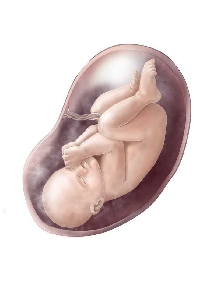 37 неделя беременности, предвестники родов, что происходит с плодо