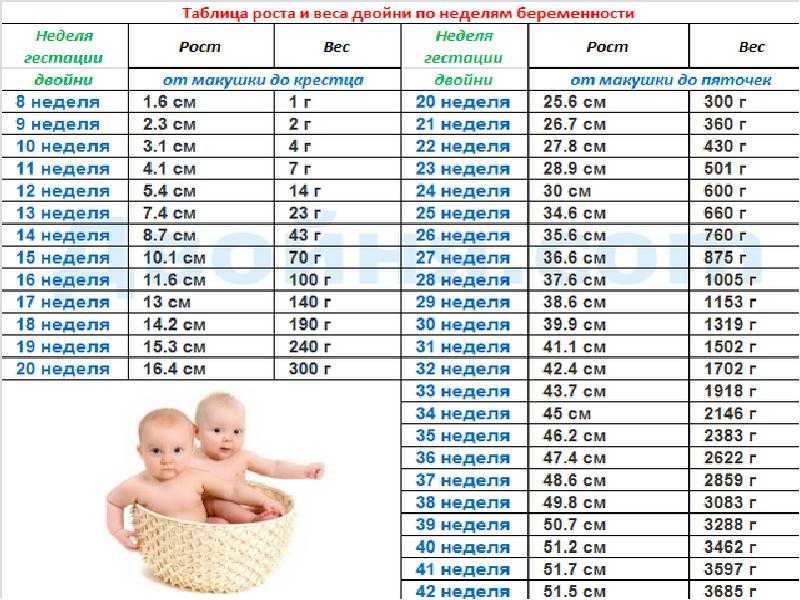 Вес ребенка по данным узи * клиника диана в санкт-петербурге