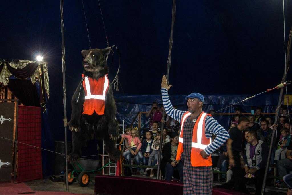 Вечеринка в стиле цирк для взрослых: представление начинается! | fiestino.ru