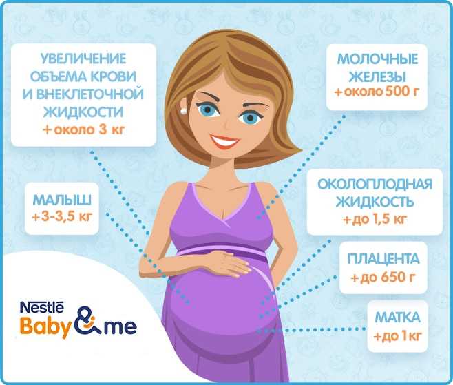 36 неделя беременности: что происходит с малышом и мамой, развитие плода, вес и рост