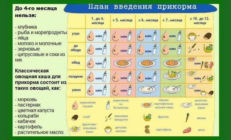Правила и таблица введения прикорма детям первого года жизни