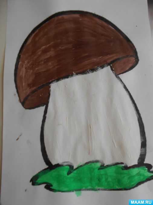 Конспект занятия по рисованию «грибы» для детей средней группы