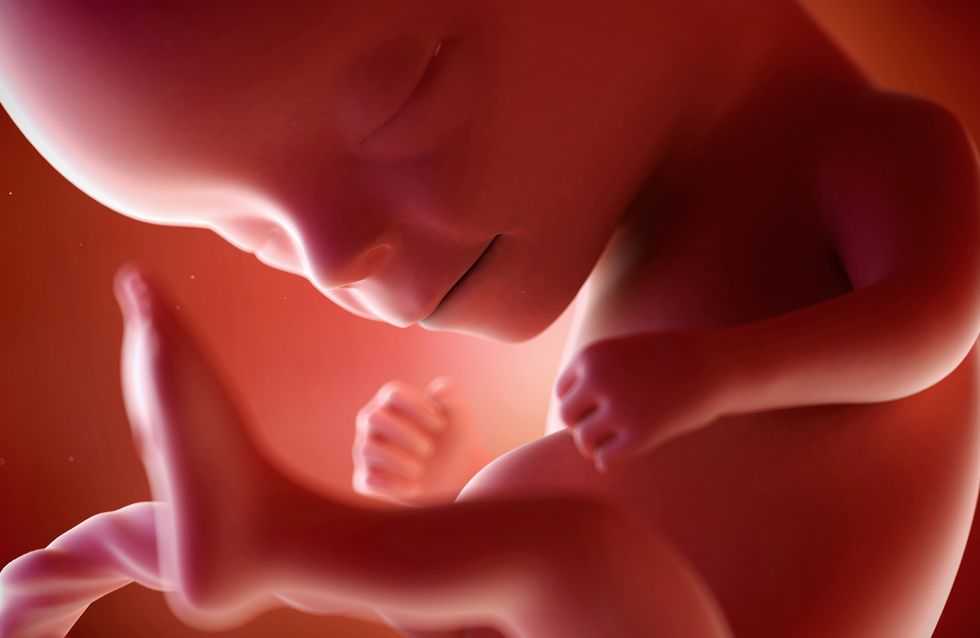 ➤ 12 неделя беременности всё что нужно знать будущей маме
