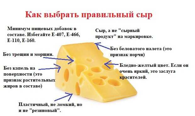Когда можно давать ребенку сыр и какой, в каком виде?
