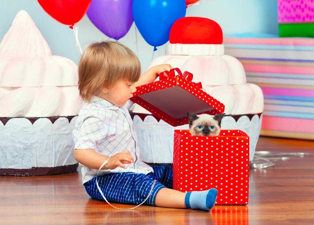 Что подарить девочке на 3 года на день рождения - идеи подарков, в том числе сделанных своими руками