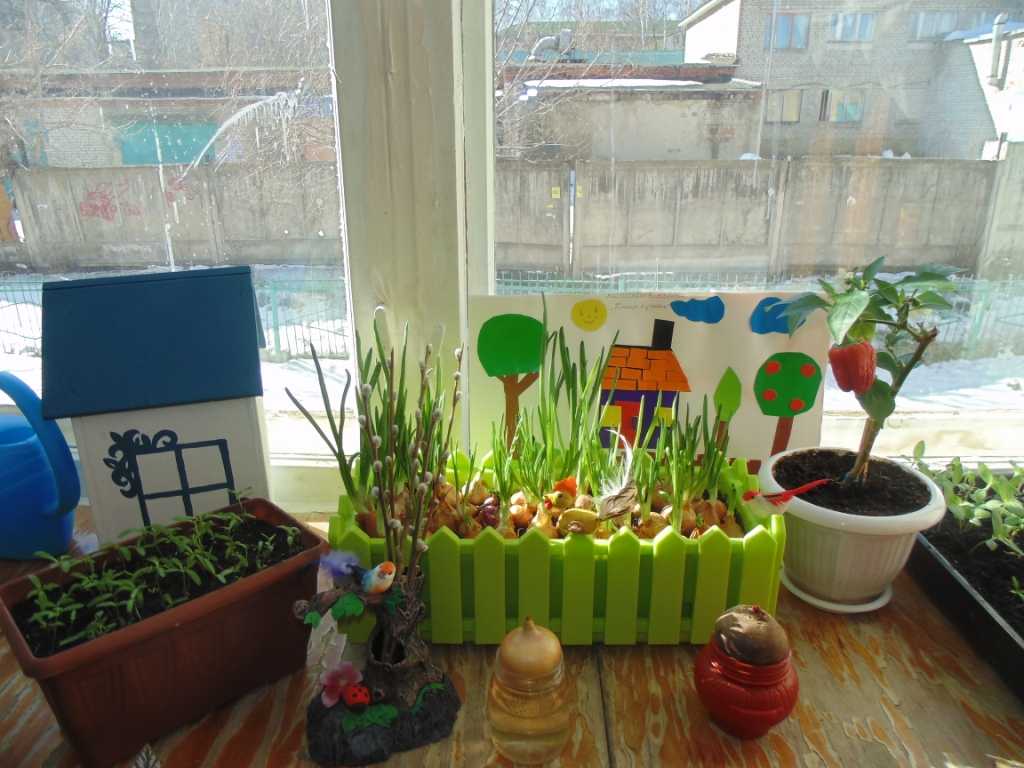 Проект «огород на окне» (вторая младшая группа). воспитателям детских садов, школьным учителям и педагогам - маам.ру