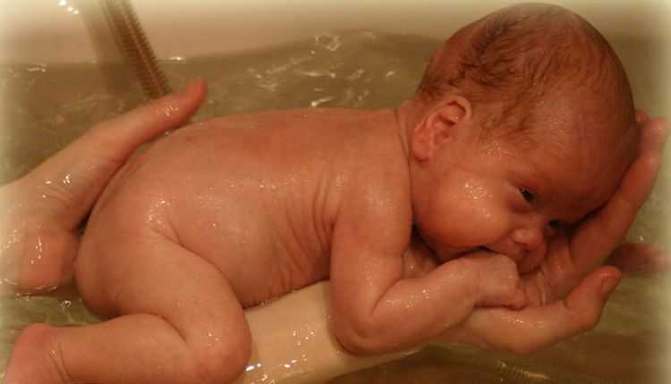 Полезна ли череда для купания новорожденных