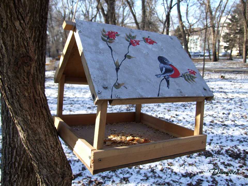 Кормушки для птиц из дерева, фанеры: как сделать