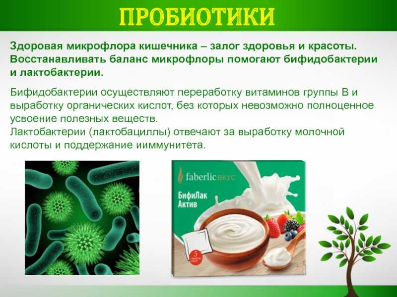 Бифидобактерии и использование их в молочной промышленности