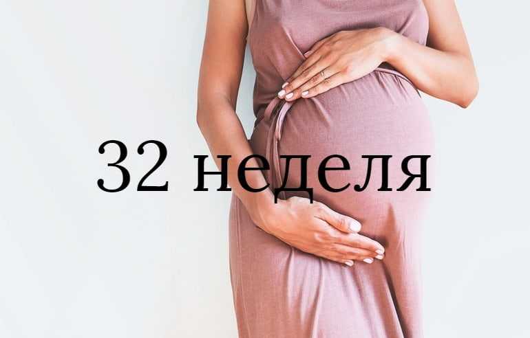 24 неделя беременности: развитие плода, это сколько месяцев, фото размера плода