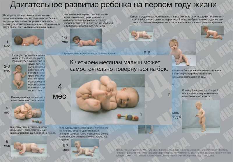 Как меняются девочки к 7 месяцам: нормы развития ребенка и советы доктора комаровского