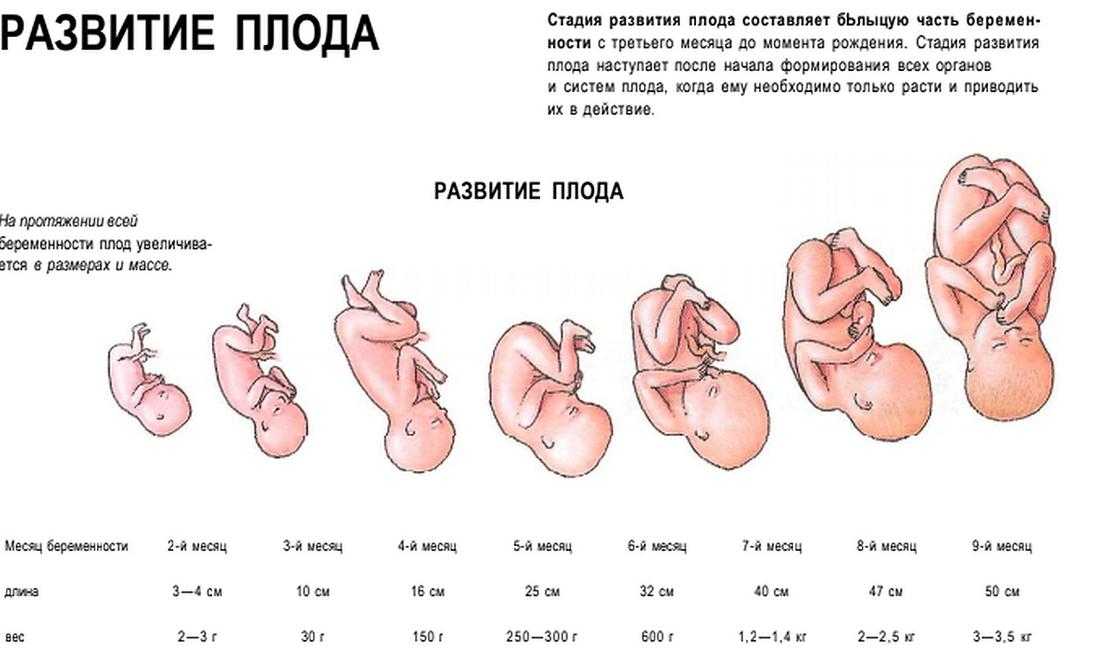 Что происходит в организме женщины после родов | клиника нео вита