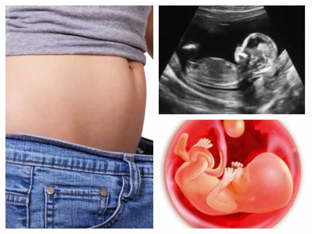 21 неделя беременности развитие и фото — евромедклиник24